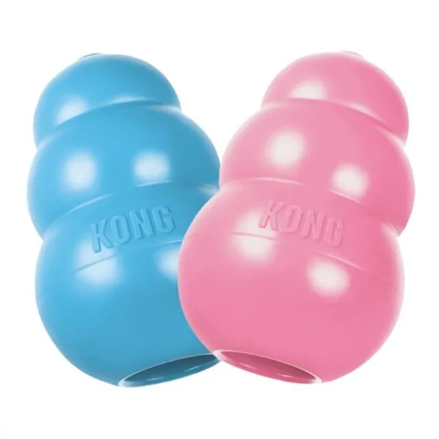 KONG Puppy