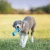 KONG Puppy Goodie Bone
