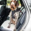 KONG Ultimate Säkerhetsbälte Hund