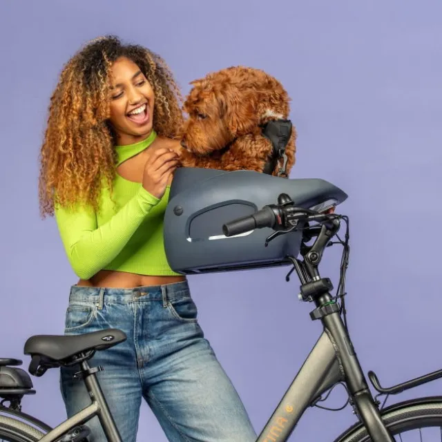 Kvisp Cykelkorg till Hund med Sele Grå