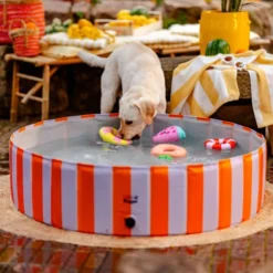 Little&Bigger Hot Summer Juicy Hundpool Lila/Orange 120 cm