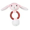 Little&Bigger Puppy Basics Kanin med Bitring