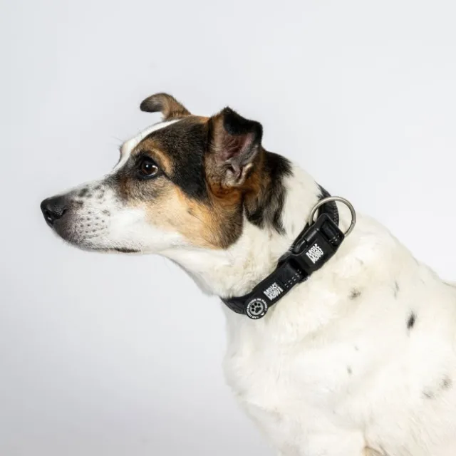 Max&Molly Smart ID Hundhalsband Matrix 2.0 Svart