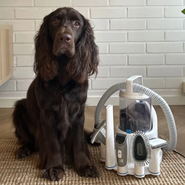 Neakasa P2 Pro Pet Pälsvårdskit
