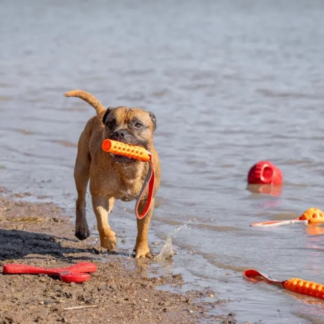 N-Gage Active Bumper Orange
