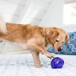 Nina Ottosson Outward Hound Lil Snoop Lila