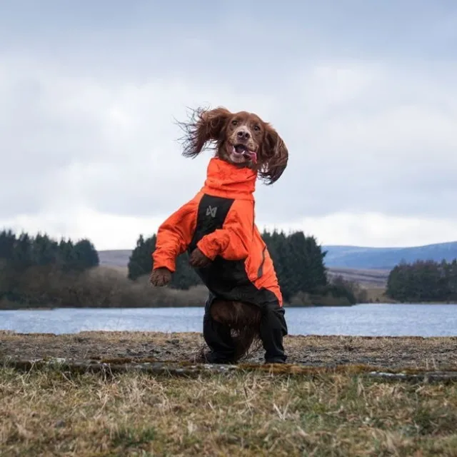 Non-stop Dogwear Fjord Hundoverall Orange