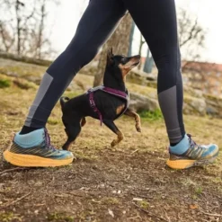 Non-Stop Dogwear Line Hundsele 5.0 Lila