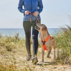 Non-Stop Dogwear Line Hundsele 5.0 Orange