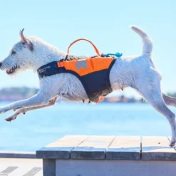 Non-Stop Dogwear Protector Flytväst till Hund Orange & Svart