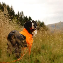 Non-stop Dogwear Protector Hundoverall för Tikar Svart & Orange