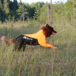 Non-stop Dogwear Protector Hundoverall för Hanhundar Svart & Orange