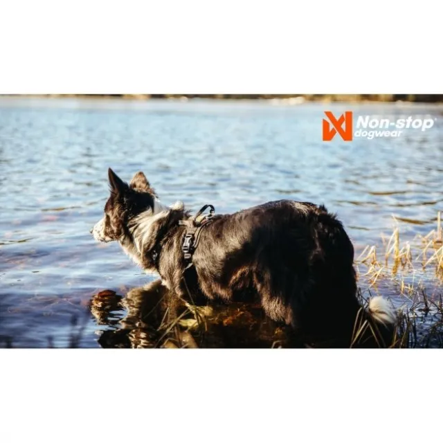 Non-stop Dogwear Rock Harness Hundsele Svart/Orange