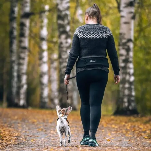 Non-Stop Dogwear Rush Hundförarbälte Svart/Turkos