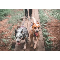 Non-stop Dogwear Touring Double Divider Avdelare för Koppel