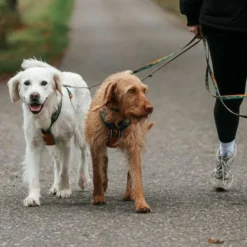 Non-stop Dogwear Trail Quest Rachel Pohl Hundkoppel 15 mm x 2 m Brun