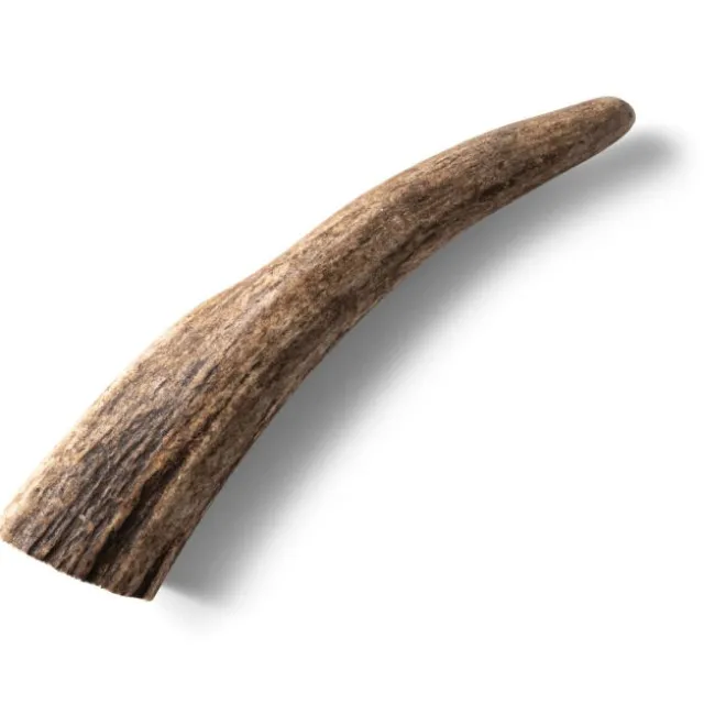 Nutriment Natural Antler Hjorthorn