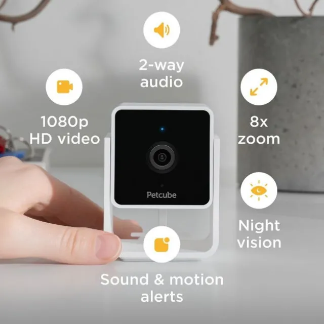PetCube Cam Husdjurskamera med Ljud