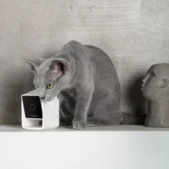 PetCube Cam Husdjurskamera med Ljud
