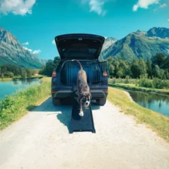 4pets EasySteps Bilramp Svart