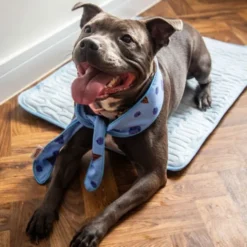 Rosewood Cooling Kylande Hundscarf