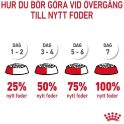 Royal Canin Appetite Control Care Adult torrfoder för katt