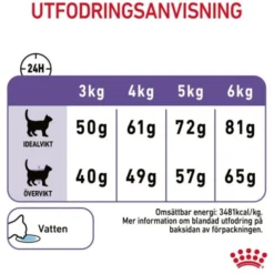 Royal Canin Appetite Control Care Adult torrfoder för katt