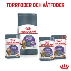Royal Canin Appetite Control Care Gravy Adult våtfoder för katt 12x85 g