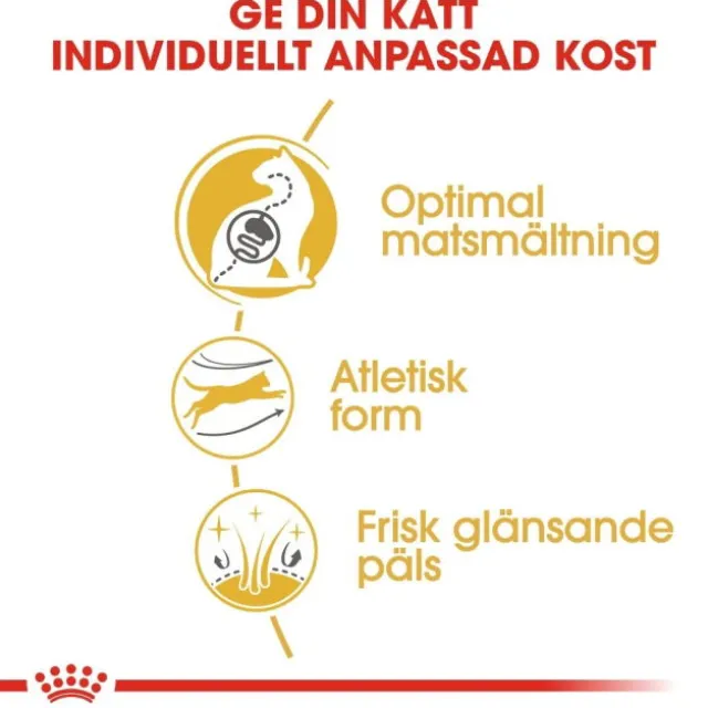 Royal Canin Bengal Adult torrfoder för katt