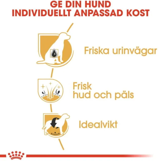Royal Canin Bichon Frisé Adult torrfoder för hund