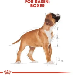 Royal Canin Boxer Puppy torrfoder för hundvalp