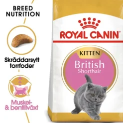 Royal Canin British Shorthair Kitten torrfoder för kattunge
