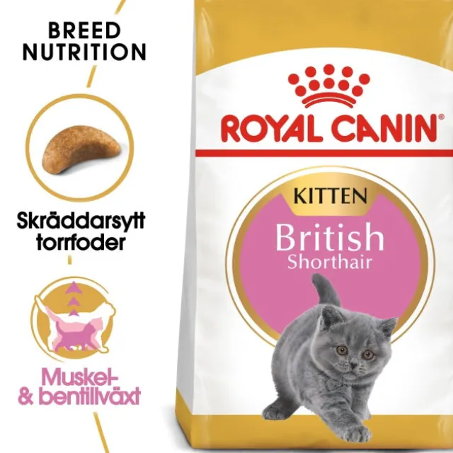 Royal Canin British Shorthair Kitten torrfoder för kattunge