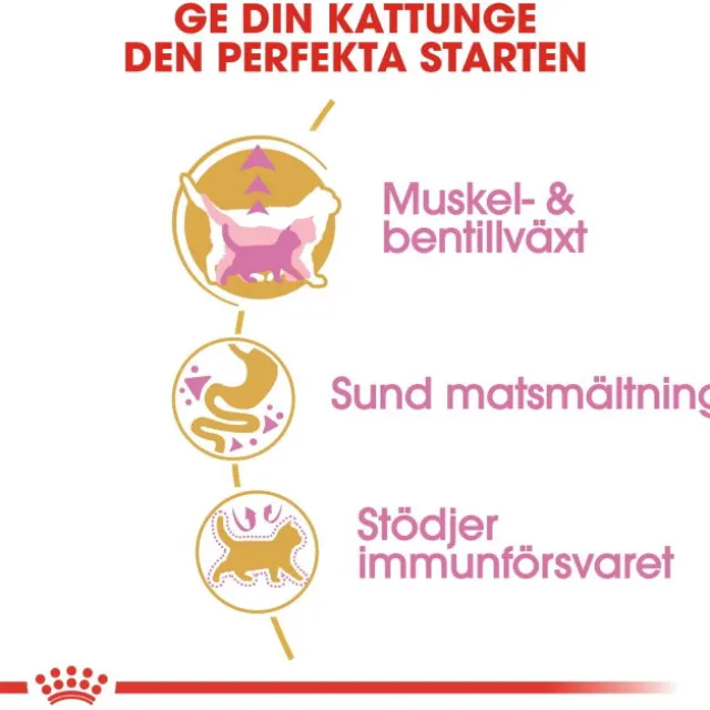 Royal Canin British Shorthair Kitten torrfoder för kattunge