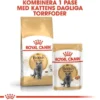Royal Canin British Shorthair Adult Gravy våtfoder för katt 12 x 85 g