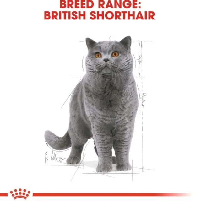 Royal Canin British Shorthair Adult Gravy våtfoder för katt 12 x 85 g