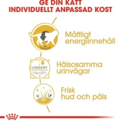 Royal Canin British Shorthair Adult Gravy våtfoder för katt 12 x 85 g