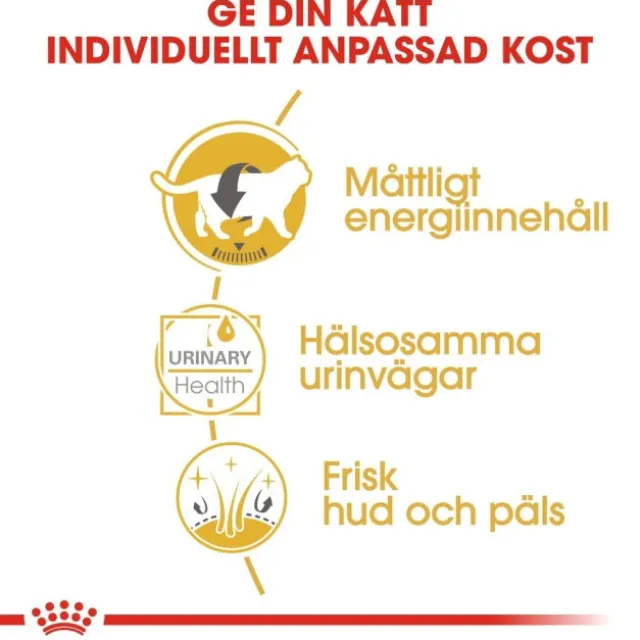 Royal Canin British Shorthair Adult Gravy våtfoder för katt 12 x 85 g