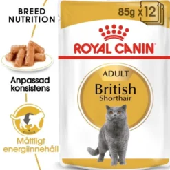 Royal Canin British Shorthair Adult Gravy våtfoder för katt 12 x 85 g