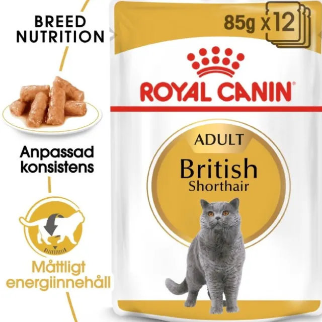Royal Canin British Shorthair Adult Gravy våtfoder för katt 12 x 85 g