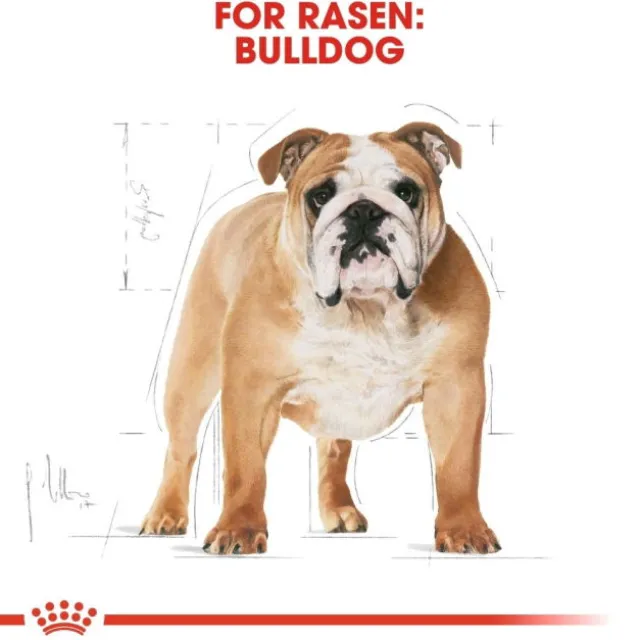 Royal Canin Bulldog Adult torrfoder för hund
