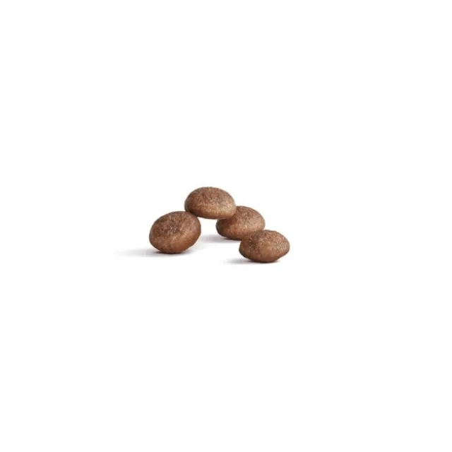 Royal Canin Cat Ageing Sterilised 11+
