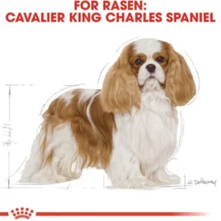 Royal Canin Cavalier King Charles Adult torrfoder för hund