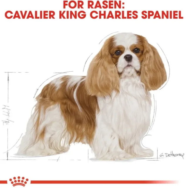 Royal Canin Cavalier King Charles Adult torrfoder för hund
