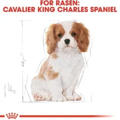 Royal Canin Cavalier King Charles Puppy torrfoder för hundvalp