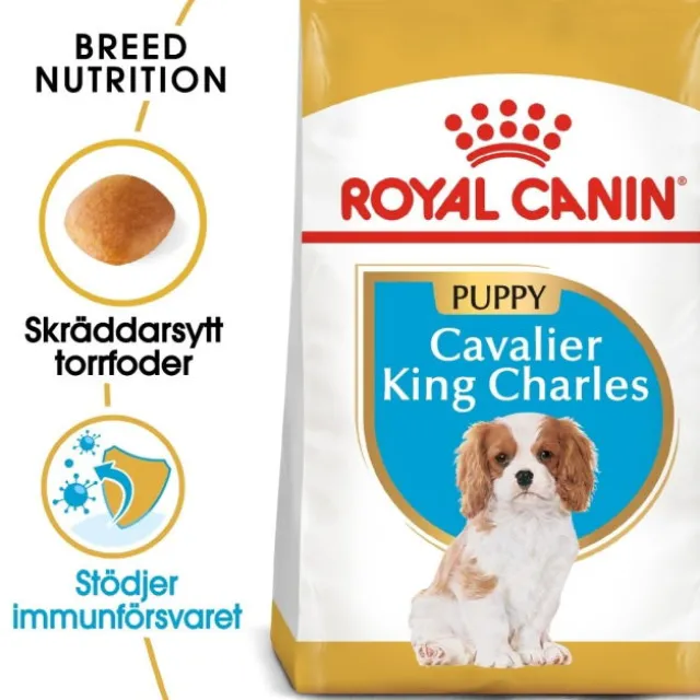Royal Canin Cavalier King Charles Puppy torrfoder för hundvalp