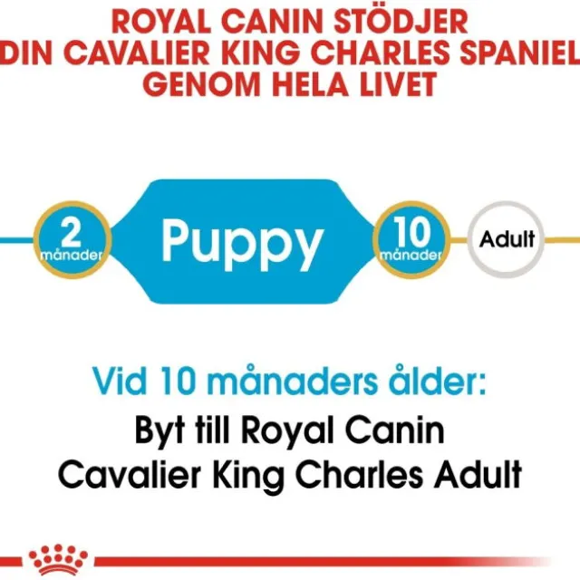 Royal Canin Cavalier King Charles Puppy torrfoder för hundvalp