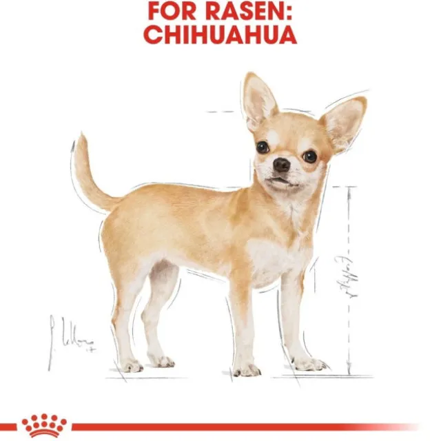 Royal Canin Chihuahua Adult Loaf våtfoder för hund 12x85g