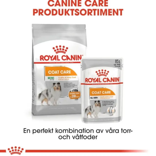Royal Canin Coat Care Adult våtfoder för hund 12x85 g