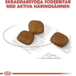 Royal Canin Coat Care Mini Adult torrfoder för hund